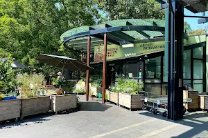 The Diggers Club Garden Shop - Adelaide image