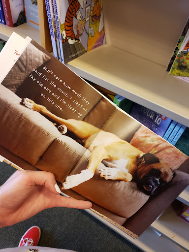 Book Store «Barnes & Noble», reviews and photos, 13719 W Bell Rd, Surprise, AZ 85374, USA