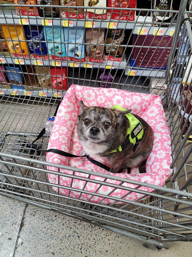 Department Store «Walmart Supercenter», reviews and photos, 3900 Dave Ward Dr, Conway, AR 72034, USA