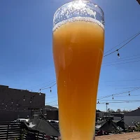 Tallulah Brewing Company in Jasper, Alabama - 4.80 star rating