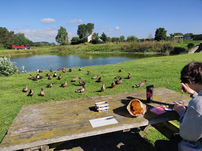 Aire de PIQUE-NIQUE à Isigny-sur-Mer