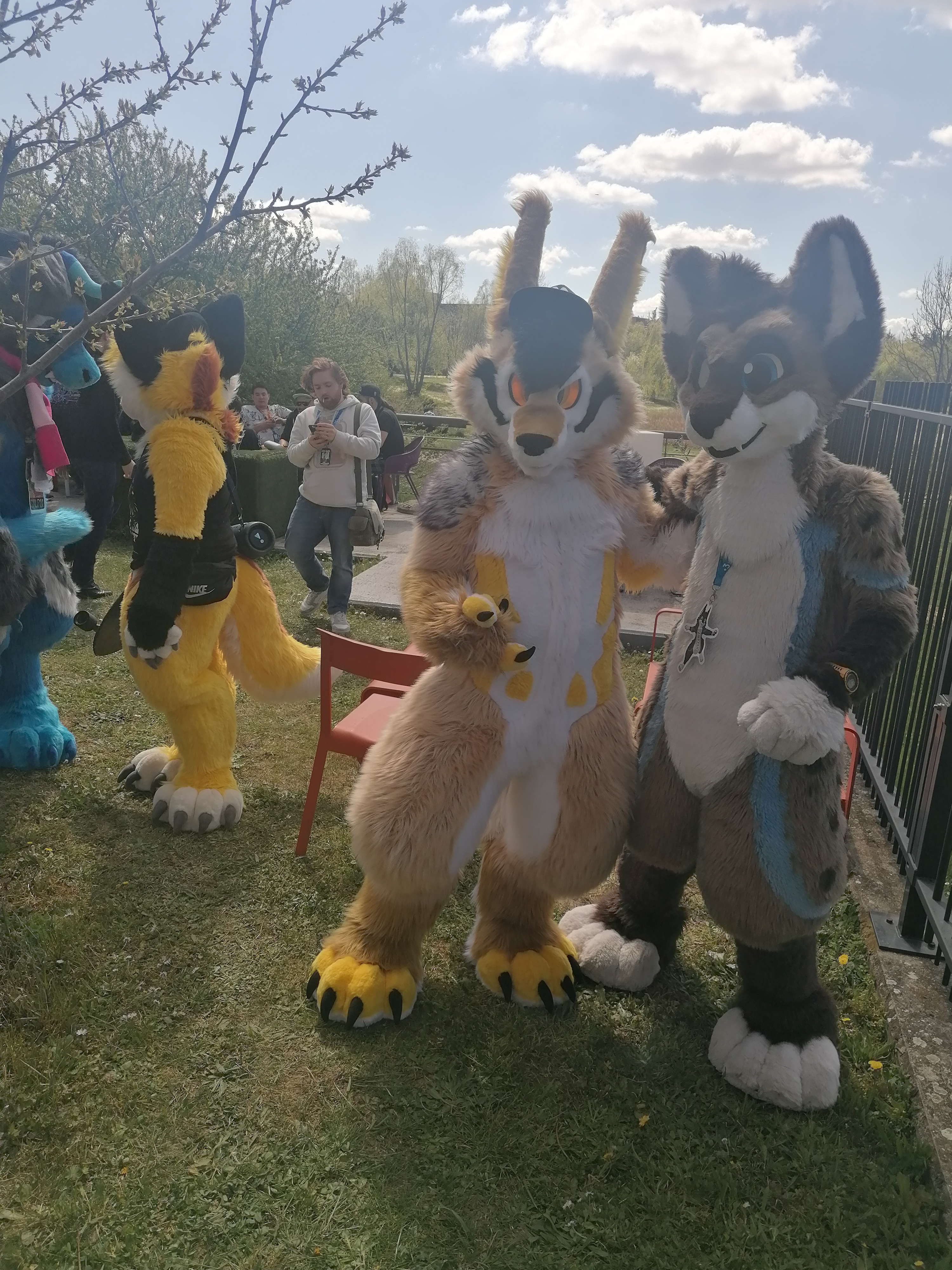 Photo n° 3 de l'avis de wolfking.5 fait le 11/04/2023 à 15:23