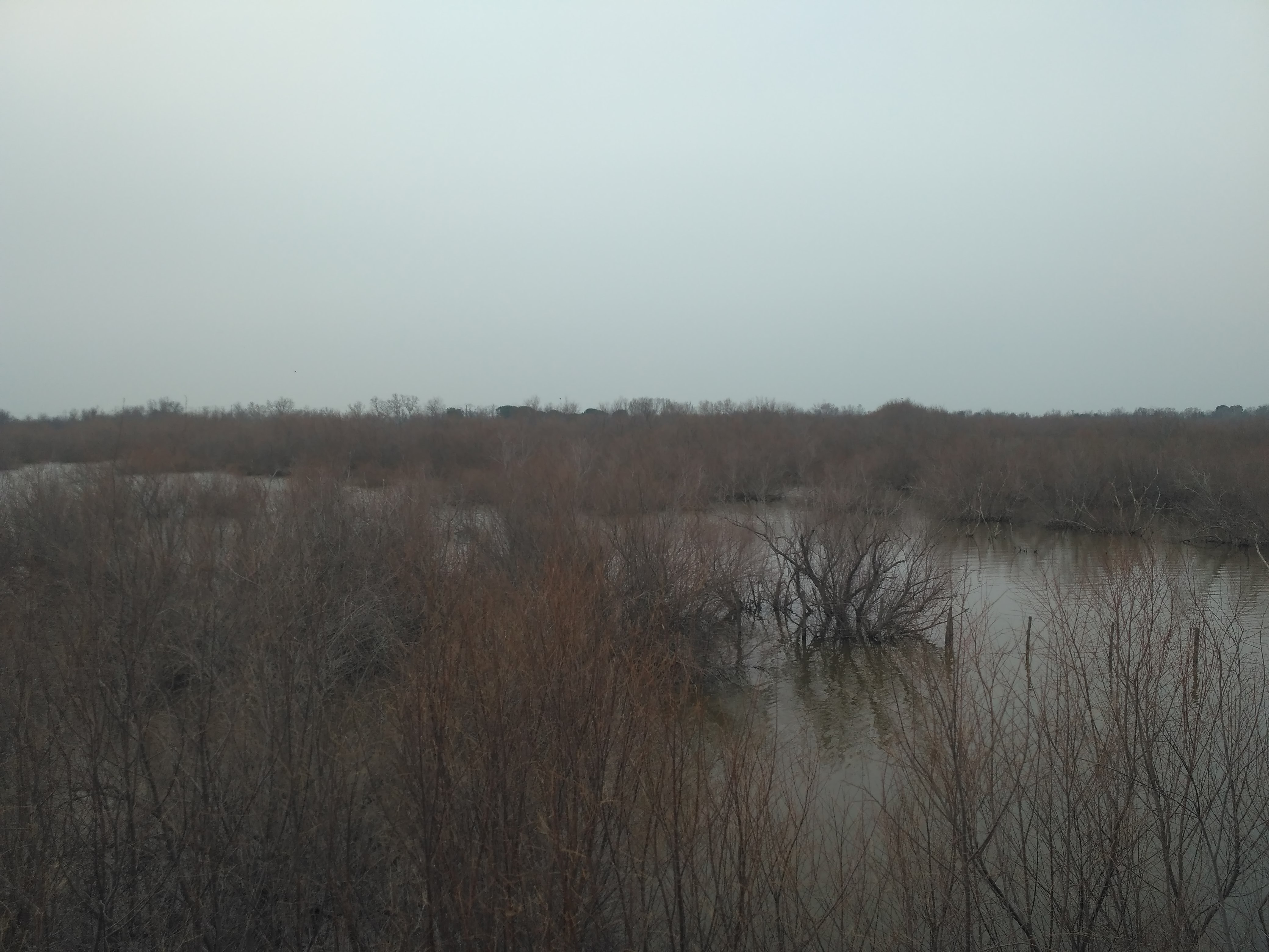 Photo n° 7 de l'avis de Cecile.a fait le 28/02/2018 à 20:50