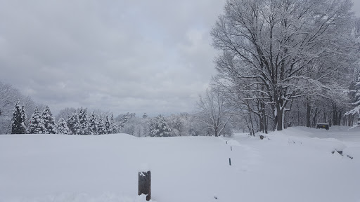 Public Golf Course «Sandy Burr Country Club», reviews and photos, 103 Cochituate Rd, Wayland, MA 01778, USA