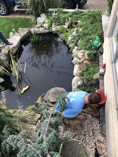 Tropical Fish Store «Aquarium Design Network», reviews and photos, 296 E Jericho Turnpike, Huntington Station, NY 11746, USA