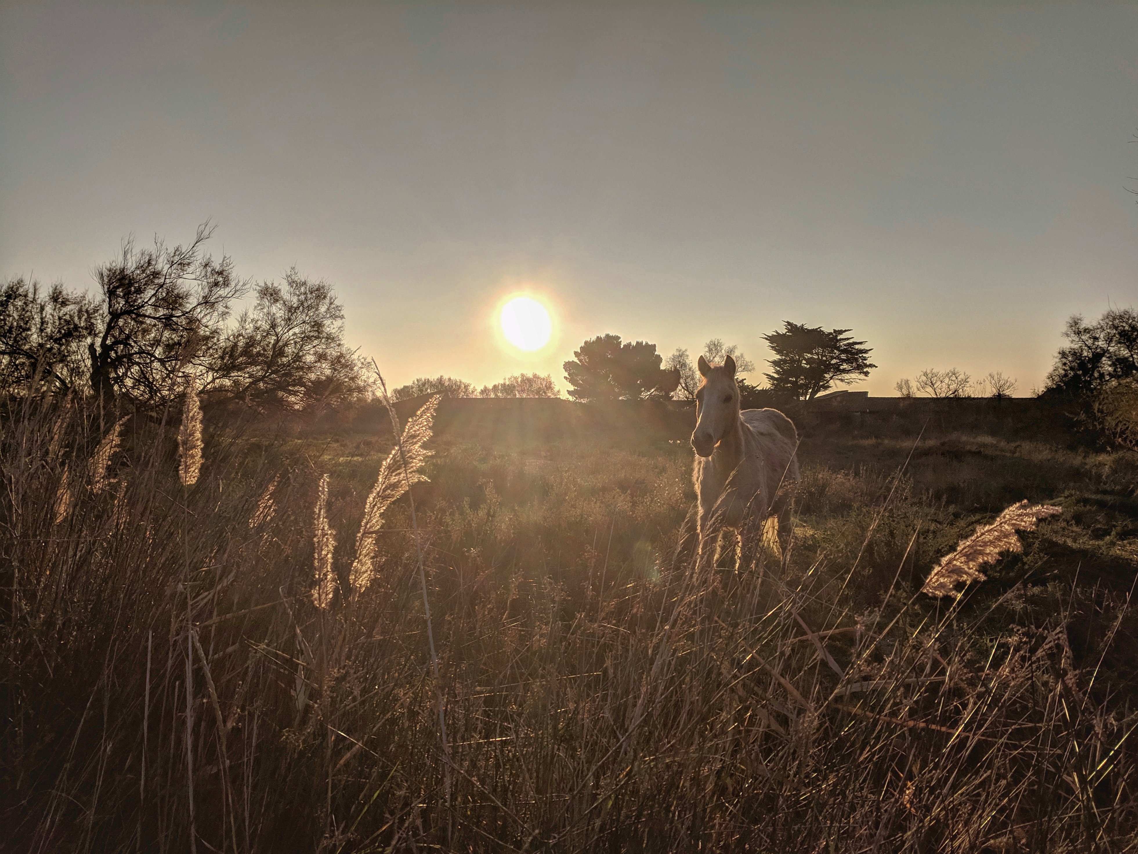 Photo n° 24 de l'avis de Sergi. fait le 03/09/2017 à 12:39
