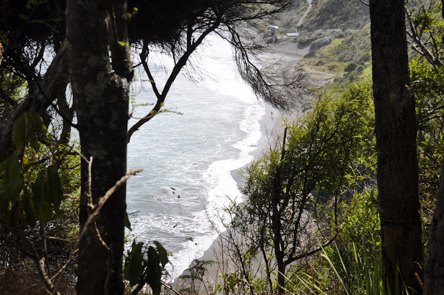 Comments and reviews of Bryant Memorial Scenic Reserve- Ngarunui Track