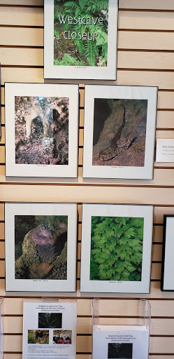 Non-Profit Organization «Westcave Outdoor Discovery Center», reviews and photos, 24814 Hamilton Pool Rd, Round Mountain, TX 78663, USA