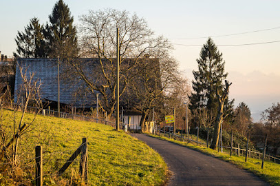 Freier Chindsgi Hönggerberg