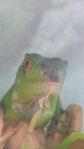 Pet Supply Store «Petco Animal Supplies», reviews and photos, 1201 E Washington Ave, Union Gap, WA 98903, USA