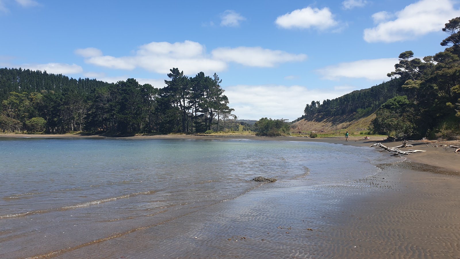 Foto von Mosquito Beach mit grauer sand Oberfläche