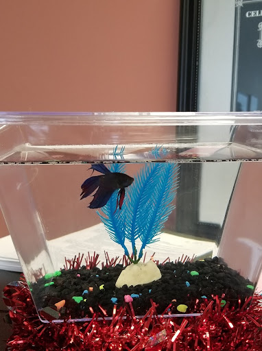 Employment Agency «Express Employment Professionals», reviews and photos, 7259 Fishers Landing Dr, Fishers, IN 46038, USA