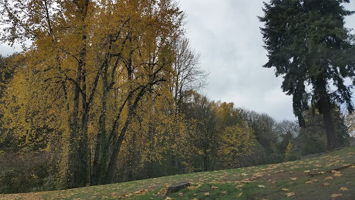 Community Center «South Bellevue Community Center», reviews and photos, 14509 SE Newport Way, Bellevue, WA 98006, USA