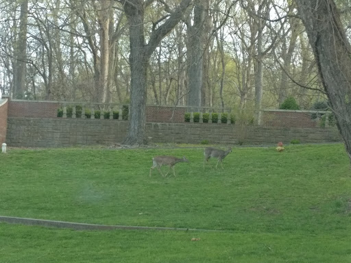 Museum «Audubon Museum & Nature Center», reviews and photos, 3100 US-41, Henderson, KY 42420, USA