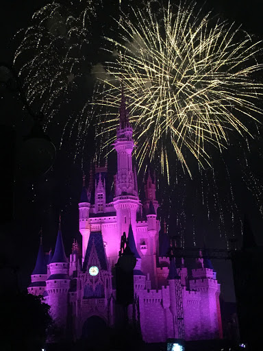 Dance School «American Dance Studios /Camp», reviews and photos, 8A Casey Ave, Edison, NJ 08817, USA