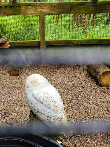 Nature Preserve «Cascades Raptor Center», reviews and photos, 32275 Fox Hollow Rd, Eugene, OR 97405, USA