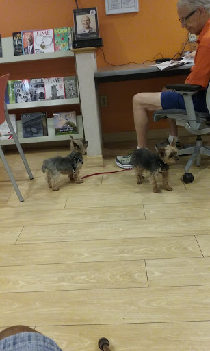 Car Dealer «Carousel Motors», reviews and photos, 809 IA-1, Iowa City, IA 52244, USA