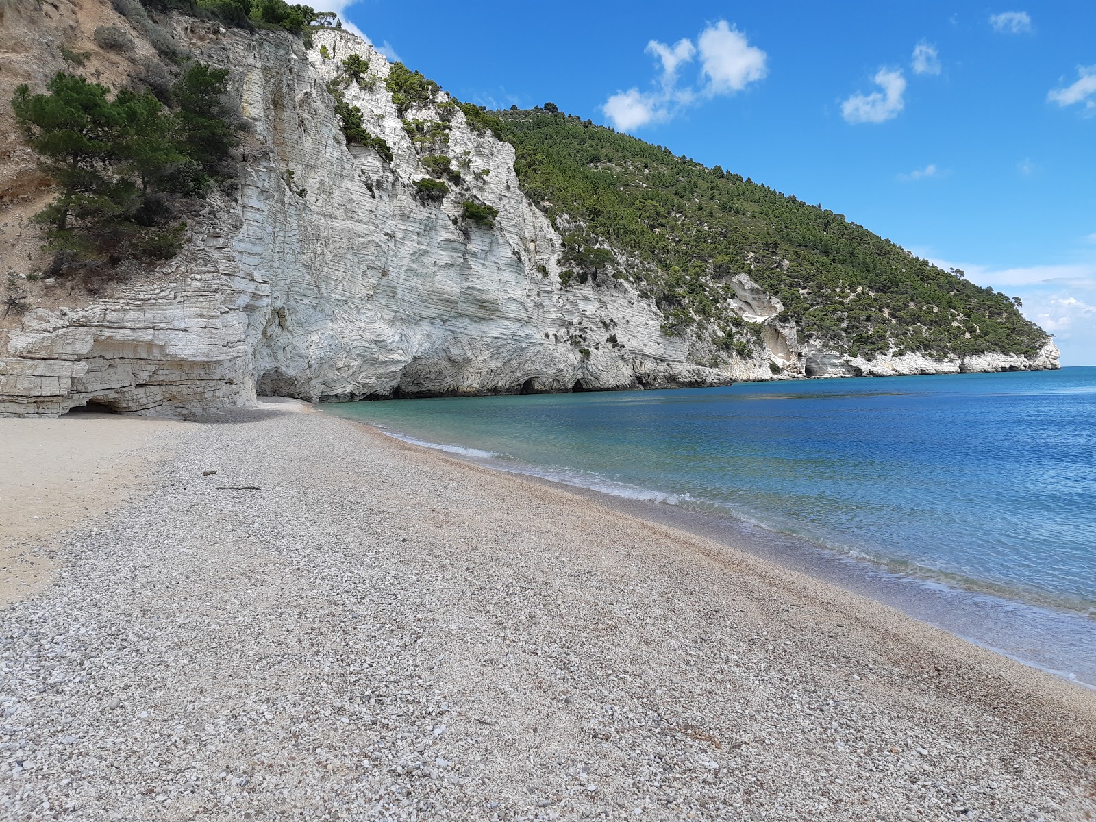 Foto de Playa de Faraglioni con muy limpio nivel de limpieza