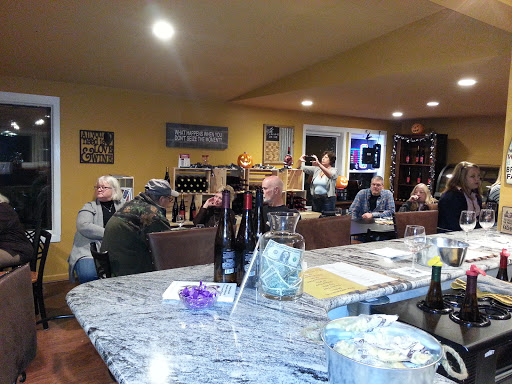Winery «Black Fire Winery», reviews and photos, 1261 E Munger Rd, Tecumseh, MI 49286, USA