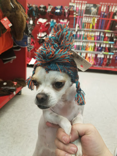 Pet Supply Store «Petco Animal Supplies», reviews and photos, 5843 N Elizabeth St, Pueblo, CO 81008, USA