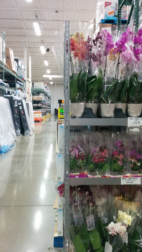 Warehouse club «BJ’s Wholesale Club», reviews and photos, 1929 NE Pine Island Rd, Cape Coral, FL 33909, USA