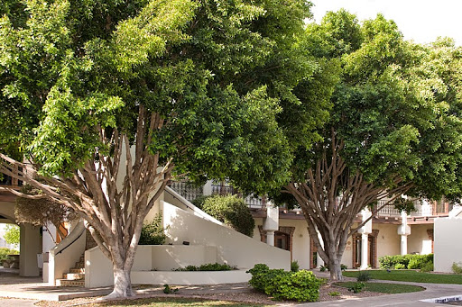 Day Spa «The Healing Arts Day Spa», reviews and photos, 1845 S Dobson Rd #110, Mesa, AZ 85202, USA