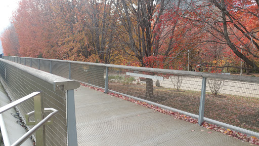 Park «Maggie Daley Park», reviews and photos, 337 E Randolph St, Chicago, IL 60601, USA