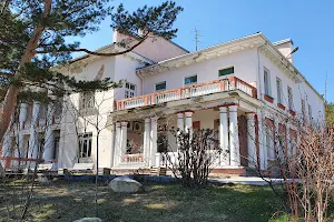 Sosnovy Bor, Pension-hotel image