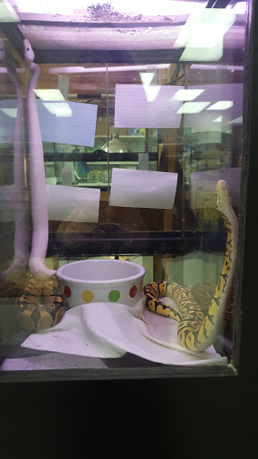 Pet Store «Inland Reef Pet Store», reviews and photos, 817 Cross Lanes Dr, Cross Lanes, WV 25313, USA