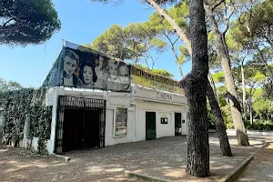 Cinema Arena Castiglioncello image