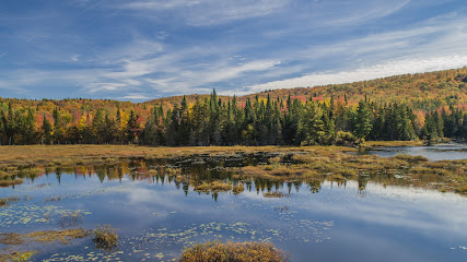 Drone Laurentides