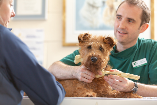 Abington Park Veterinary Surgery