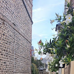 Photo n° 1 de l'avis de YA.A fait le 11/01/2024 à 11:58 pour La Passerelle à Saint-Valery-en-Caux