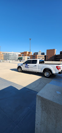 Smart pest control - Photo 2 - Car repair in , Dover