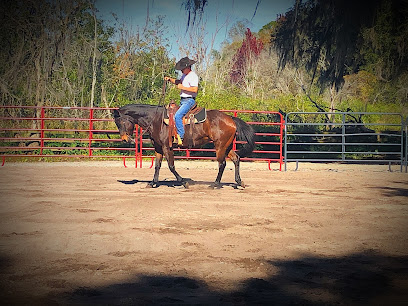 Chris Boyer Horsemanship Training