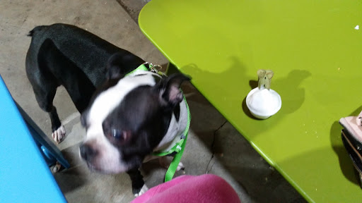 Ice Cream Shop «Twistee Treat Tarpon Springs», reviews and photos, 905 E Tarpon Ave, Tarpon Springs, FL 34689, USA