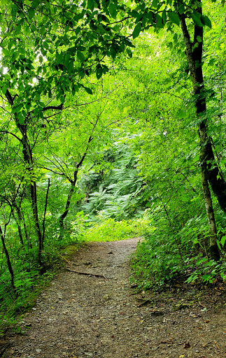 Tourist Attraction «Adventureworks Nashville West (Kingston Springs)», reviews and photos, 1300 Narrows of the Harpeth Rd, Kingston Springs, TN 37082, USA