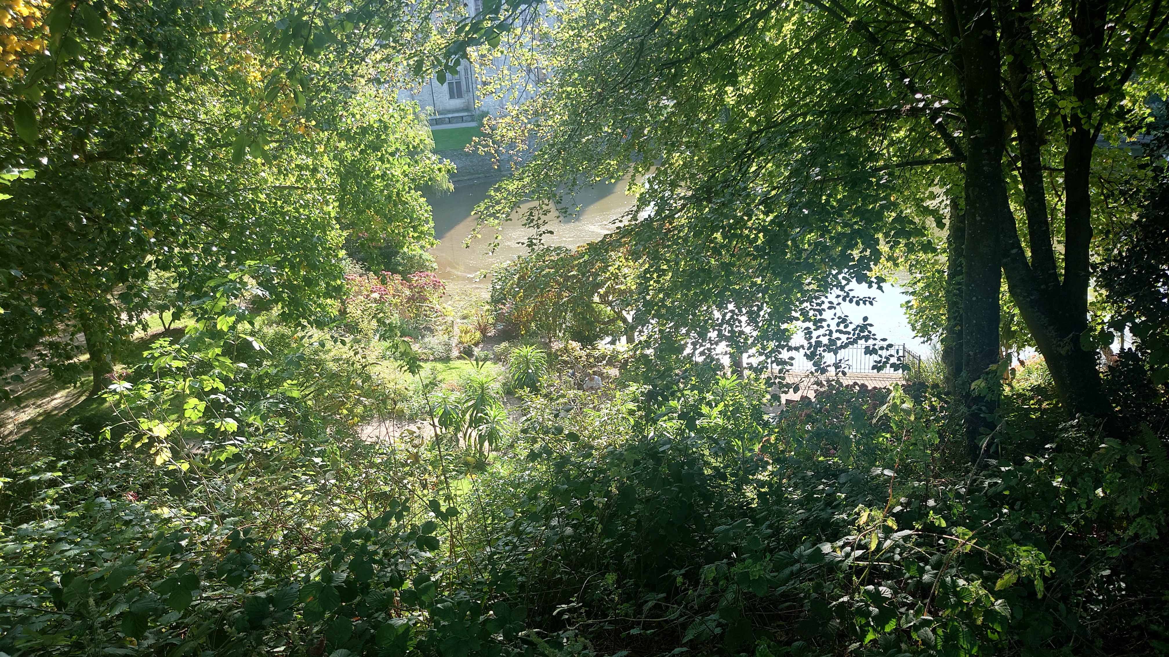 Photo n° 2 de l'avis de Herve.e fait le 08/10/2023 à 18:21