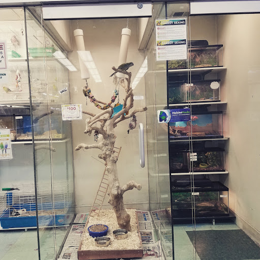 Pet Store «Petland Discounts - Pitkin Avenue», reviews and photos, 1689 Pitkin Ave, Brooklyn, NY 11212, USA