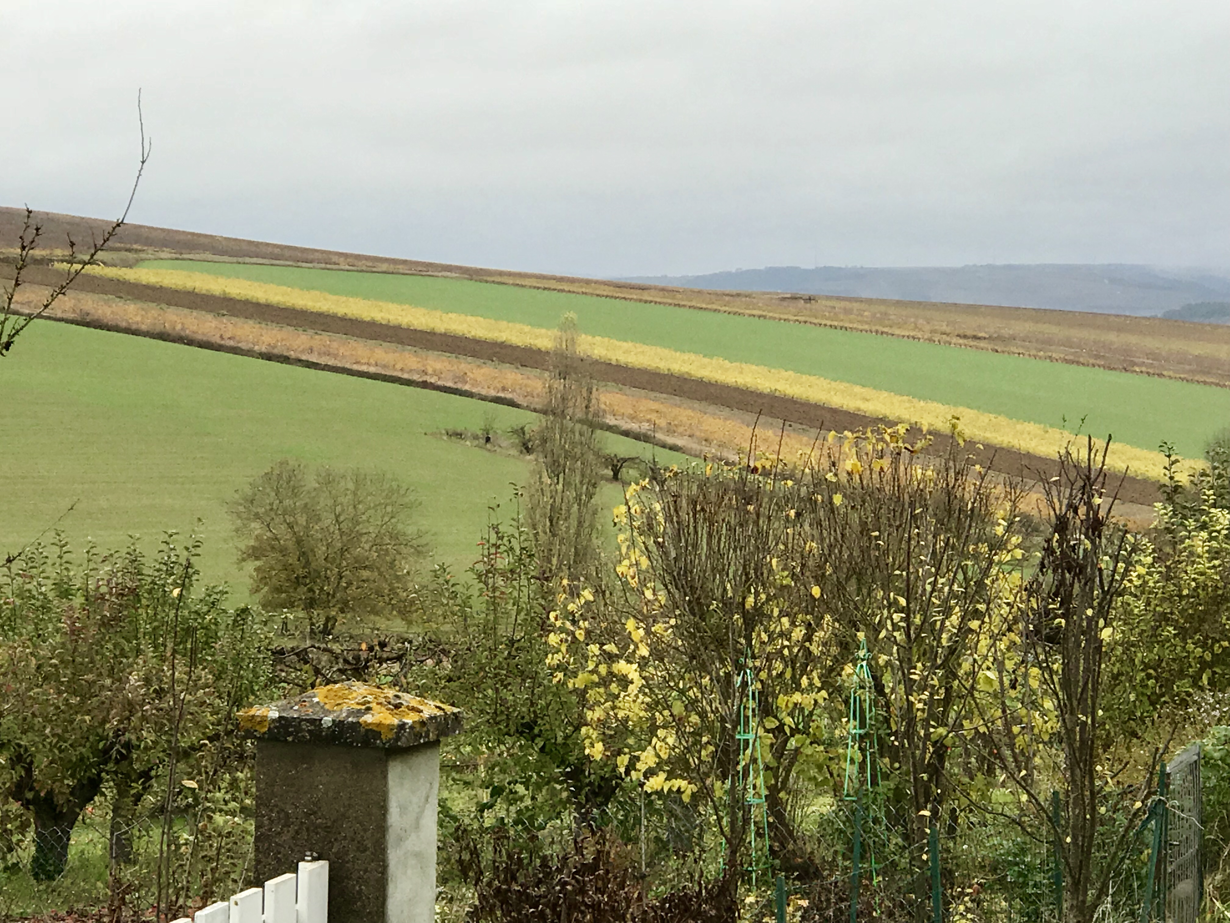 Photo n° 9 de l'avis de elizabeth.h fait le 11/11/2017 à 08:15