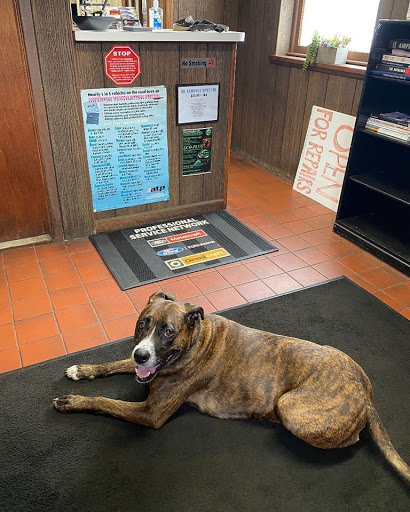 Transmission Shop «Cedar Grove Transmissions & Auto Repair Inc», reviews and photos, 475 Pompton Ave, Cedar Grove, NJ 07009, USA