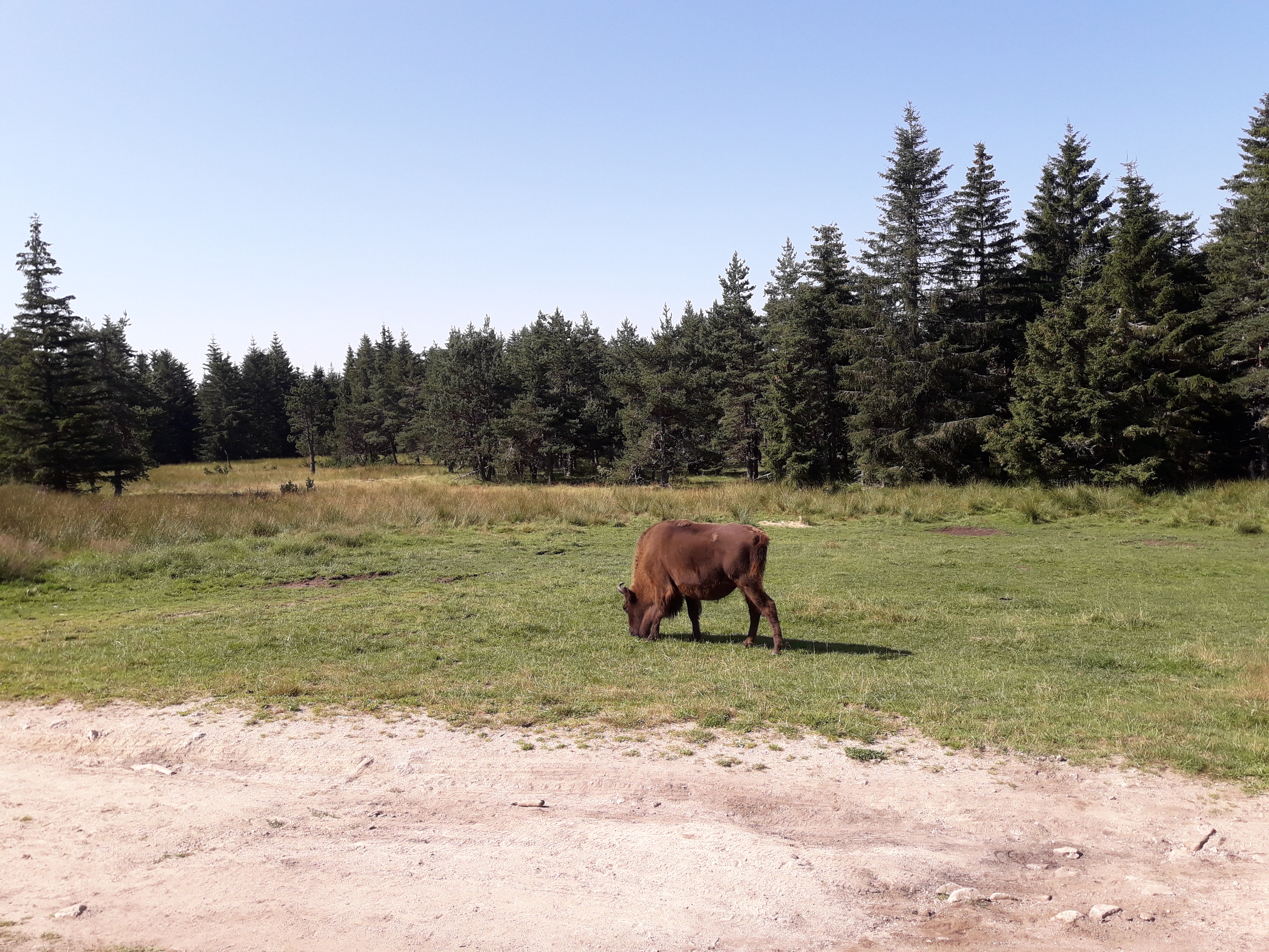 Photo n° 3 de l'avis de Ambre.a fait le 13/08/2021 à 06:05