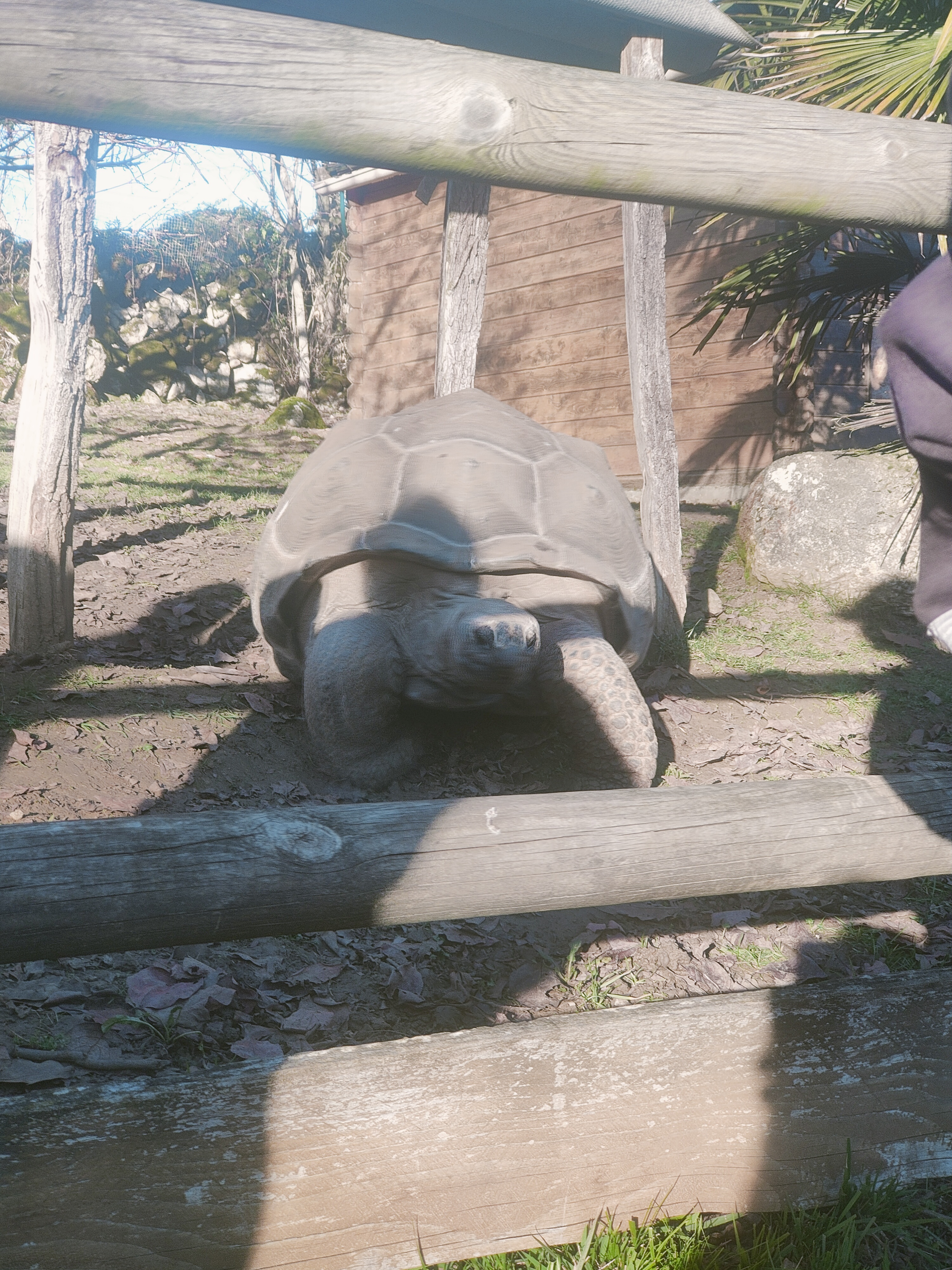 Photo n° 9 de l'avis de Karen.u fait le 03/01/2023 à 14:08