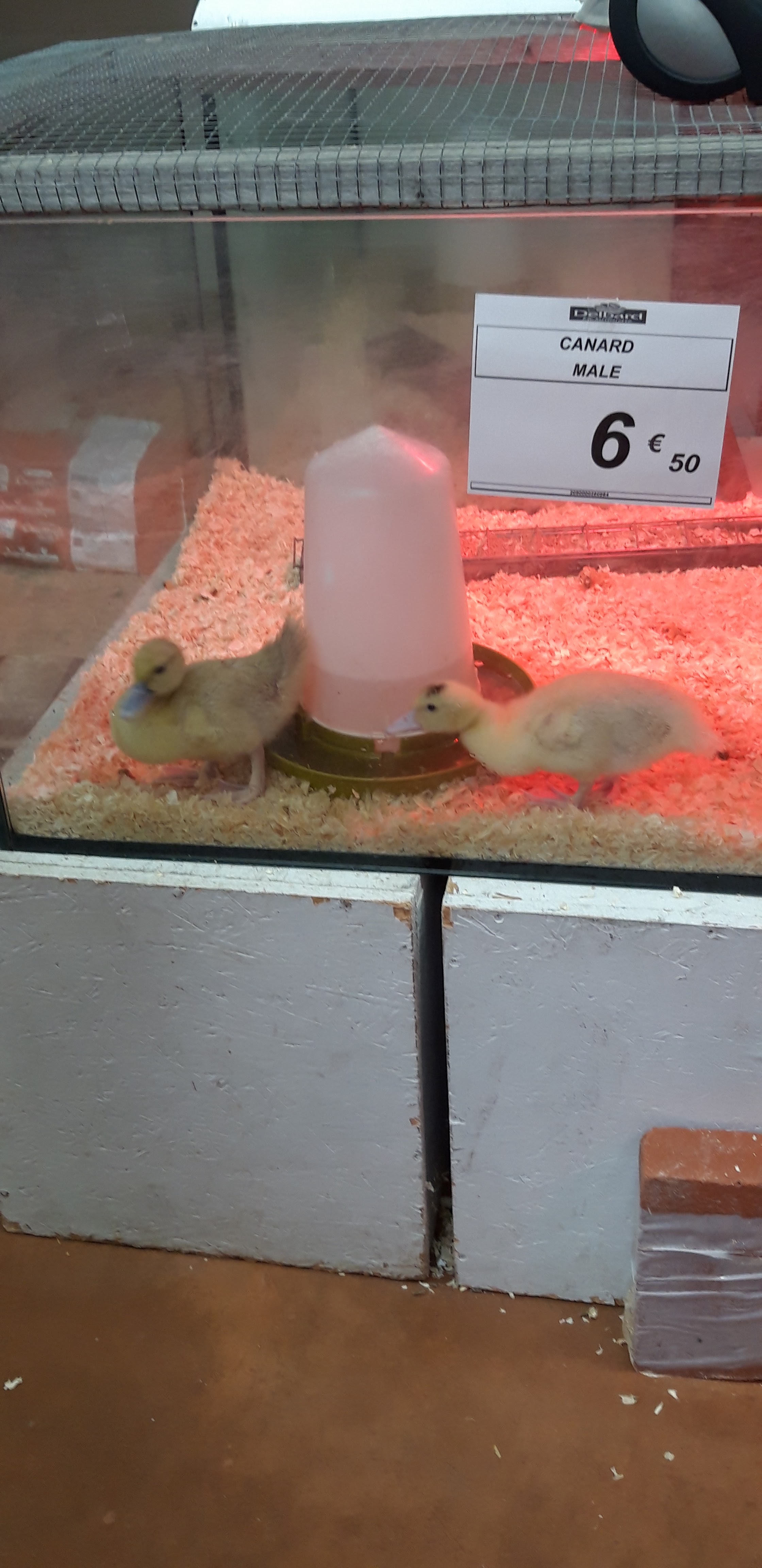 Photo n° 1 de l'avis de Zaza. fait le 10/05/2019 à 14:52