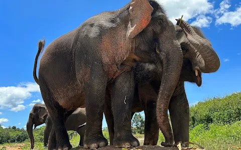 Doiinthanon elephant sanctuary official image
