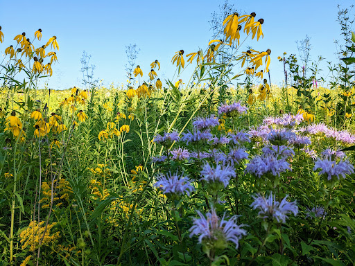 Nature Preserve «Cook County Forest Preserve», reviews and photos, 1700 N Quentin Rd, Palatine, IL 60074, USA