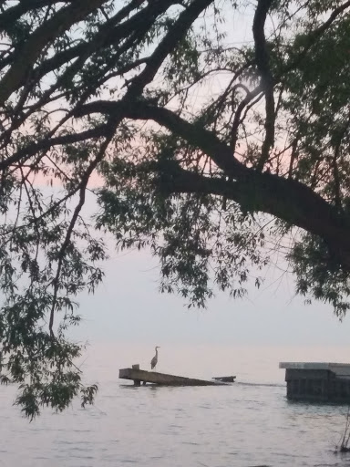 Park «Ruedisale Point Park», reviews and photos, 50400 Ruedisale St, New Baltimore, MI 48047, USA