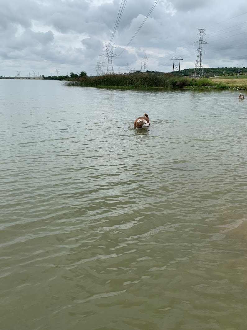 Mountain Creek Lake