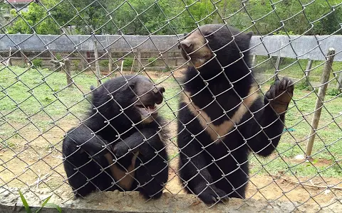 Aizawl Zoological Park image