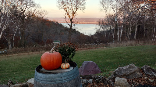 Vineyard «River View Vineyard & Winery LLC», reviews and photos, 32882 County Rd 1, La Crescent, MN 55947, USA